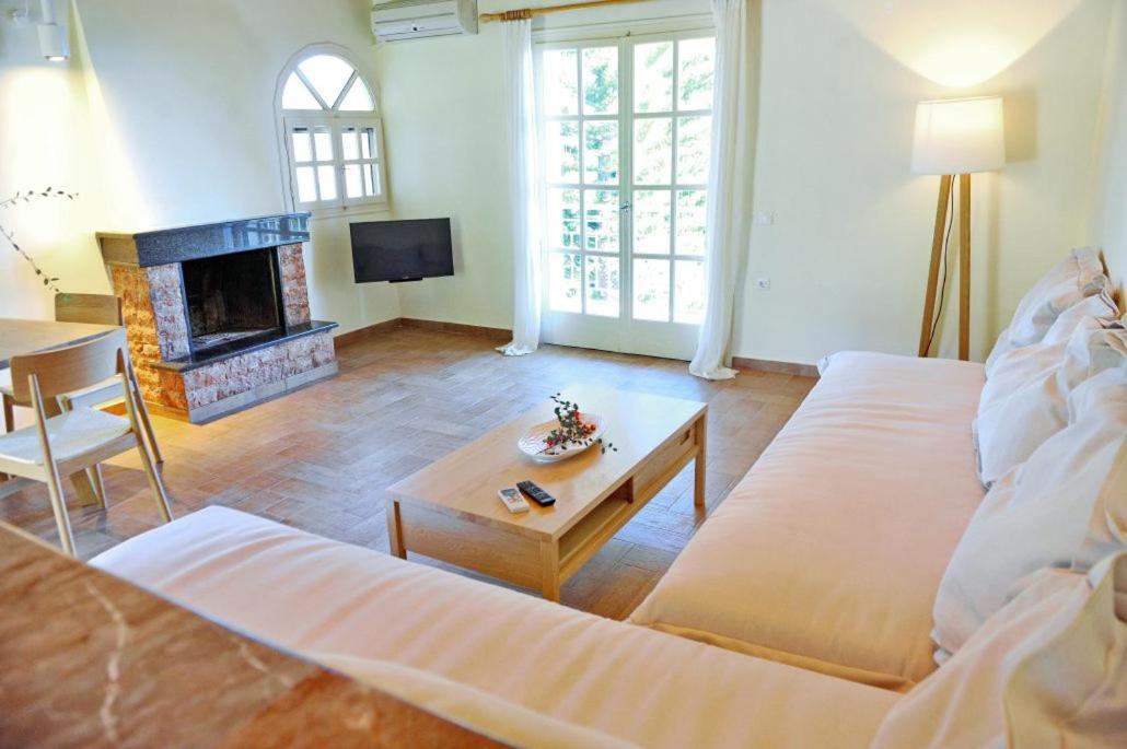 Villa Kastri Apartments 바실리키 외부 사진