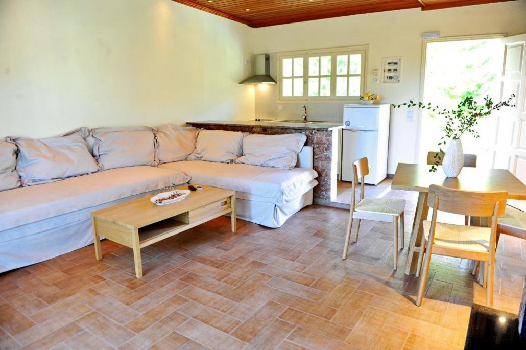 Villa Kastri Apartments 바실리키 외부 사진